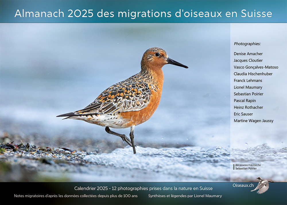 almanach-migrations-oiseaux-2025.jpg