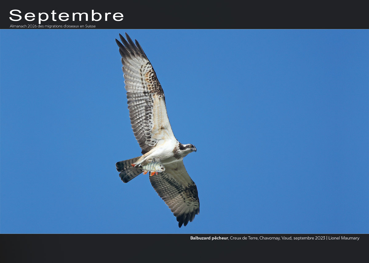 ../catalogue/09-septembre.jpg