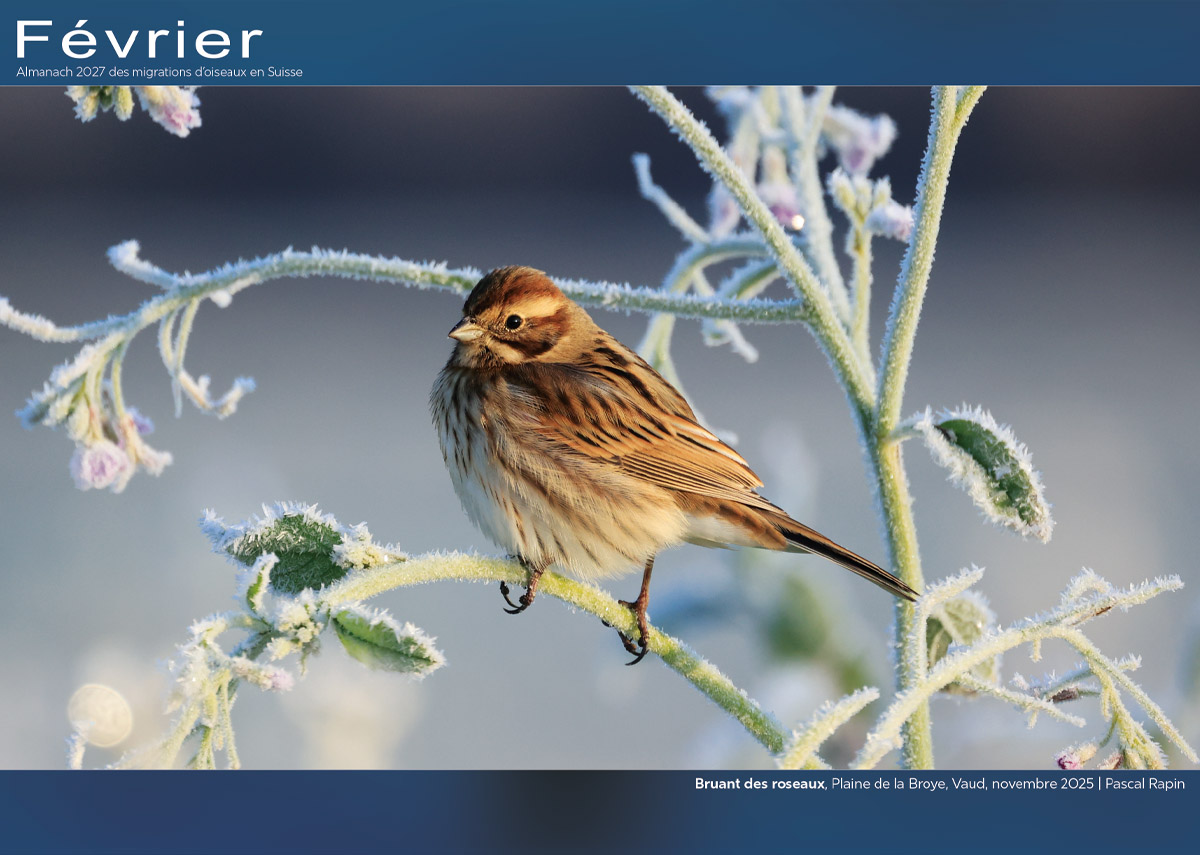 ../catalogue/02-fevrier.jpg